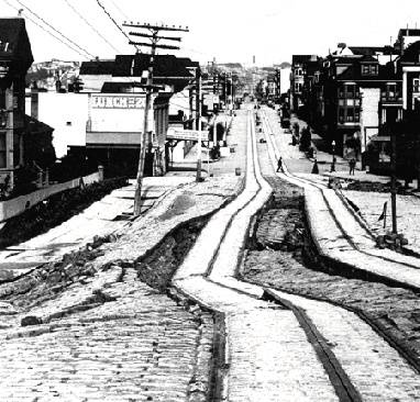 Ecology1$twisted-tracks-1906.jpg