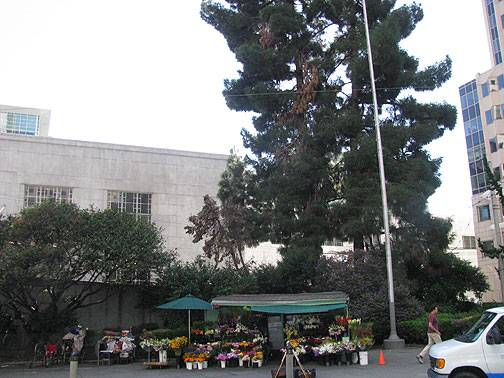 Flower-stand-and-right-side-park 2298.jpg
