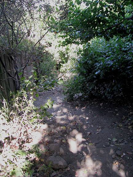 Garden-path-19th-and-Carolina 0448.jpg