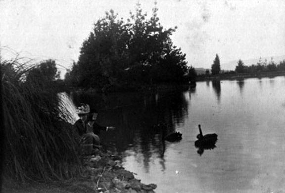 Knights-of-Pythias-1901-02 Ducks-and-women-at-lake 20.jpg