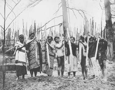 Lpe00216 Igorot women planting rice with sticks.jpg