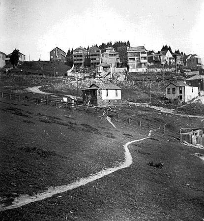 Eureka valley north slope apx roosevelt 1890s.jpg