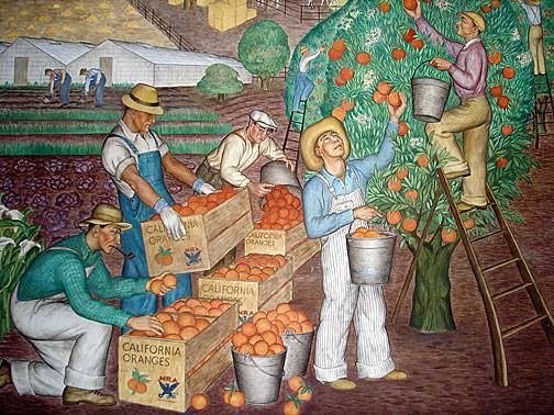 Coit mural orange-harvest9979.jpg