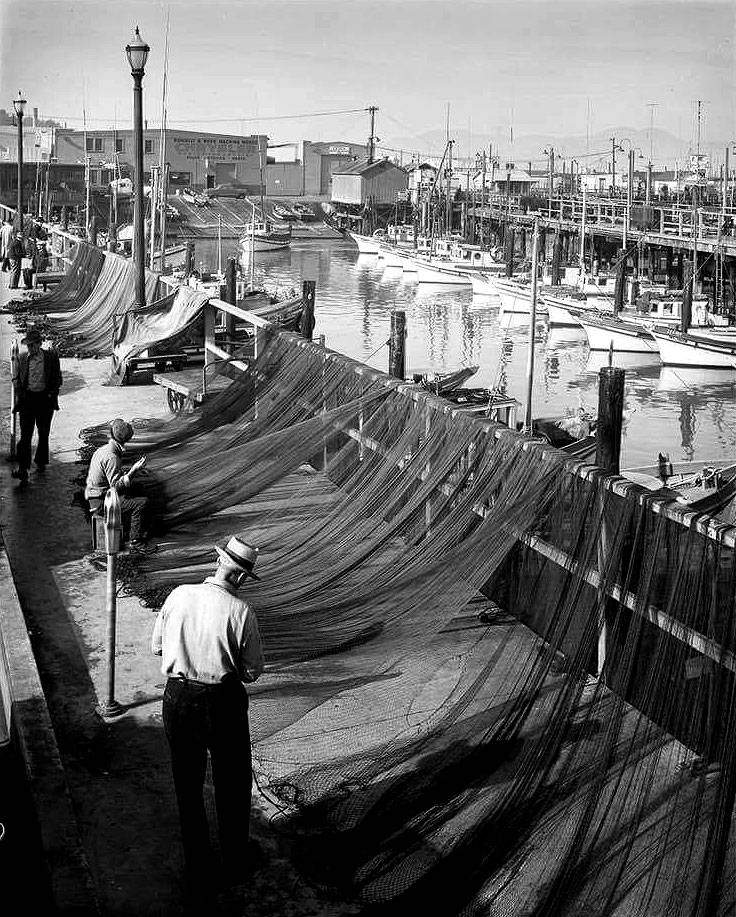 Fishermans-wharf-c-1950s.jpg