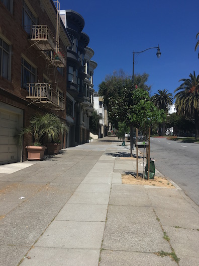 Wide Dolores Street sidewalks good for social distancing-Sarah Moir.JPG