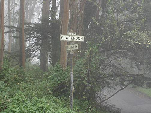 File:Sutro-forest clarendon-and-dellebrook1281.jpg