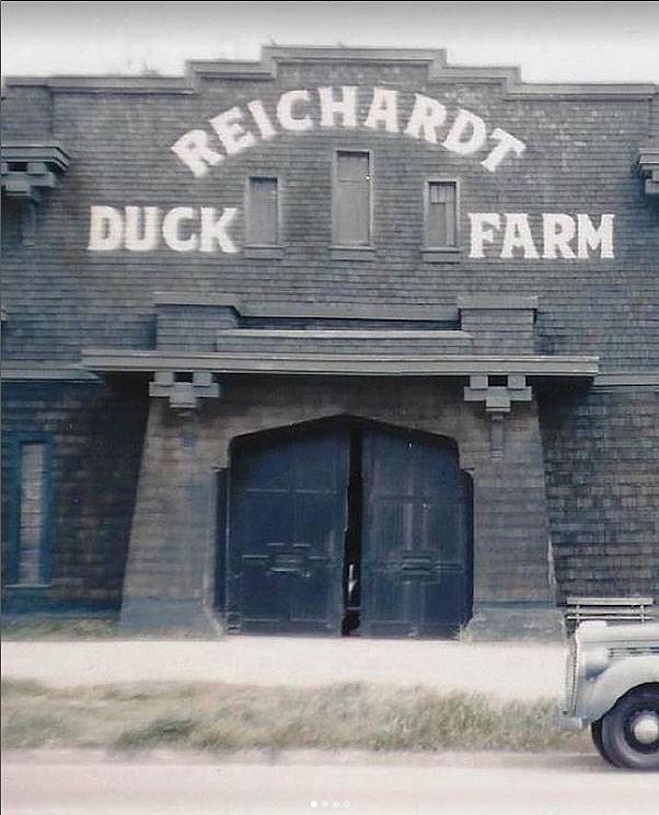 Reichardt-Duck-Farm.jpg