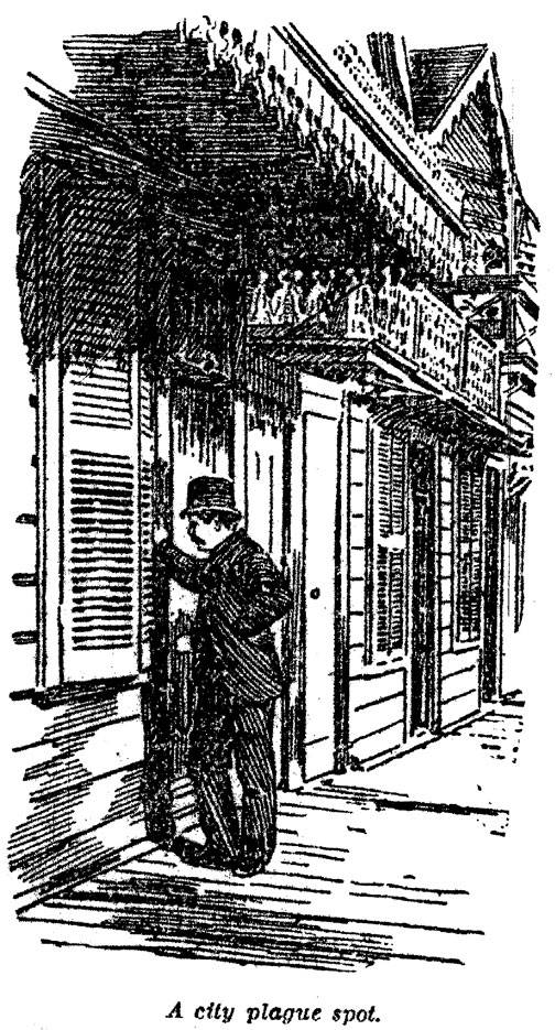 Morton-Street-19th-century 082.jpg