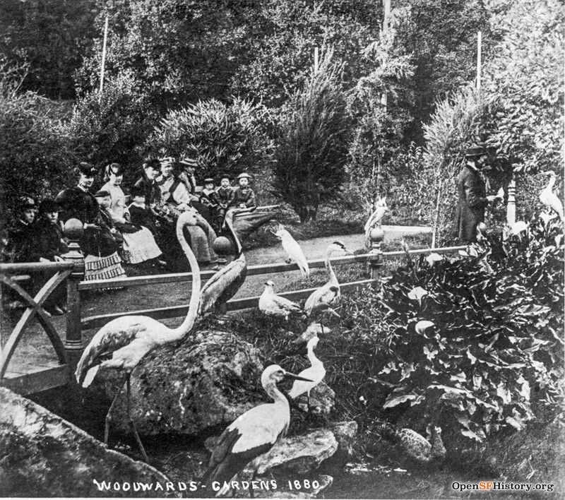 Women and children looking at exotic birds--Woodward's Gardens 1880 wnp37.02887.jpg