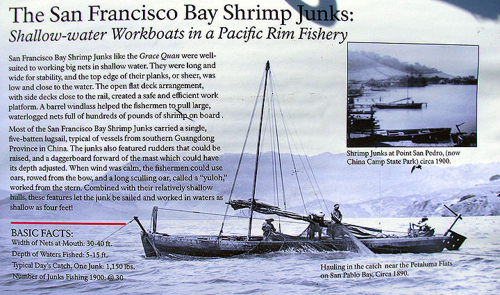 SF-Bay-Shrimp-Junks-explanation-and-display 2839.jpg