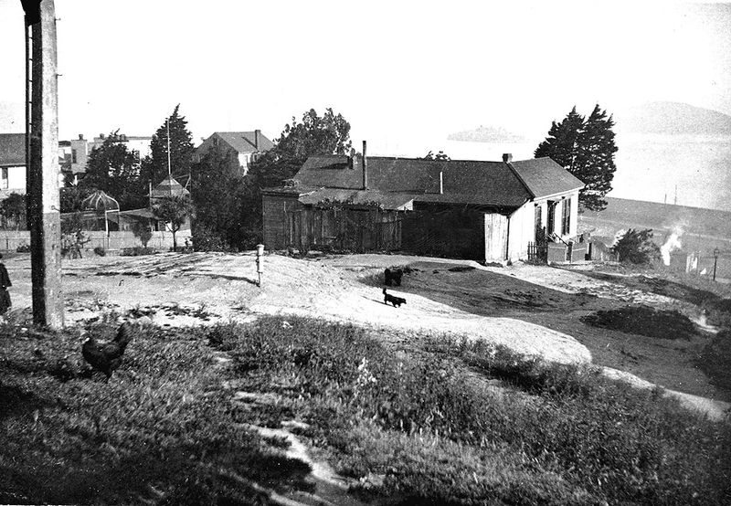 Early-settlement-on-Telegraph-Hill-with-chickens-&-dogs-in-the-1890s.jpg