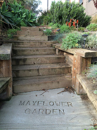 Mayflower-garden-steps-and-plants-jan-2018.jpg