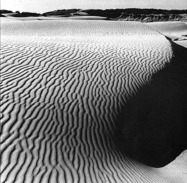 File:Nipomo-dunes.jpg