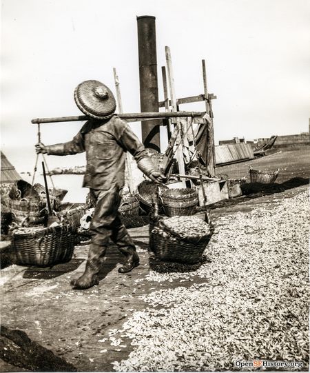 Chinese shrimp worker c 1910 wnp4.1290.jpg