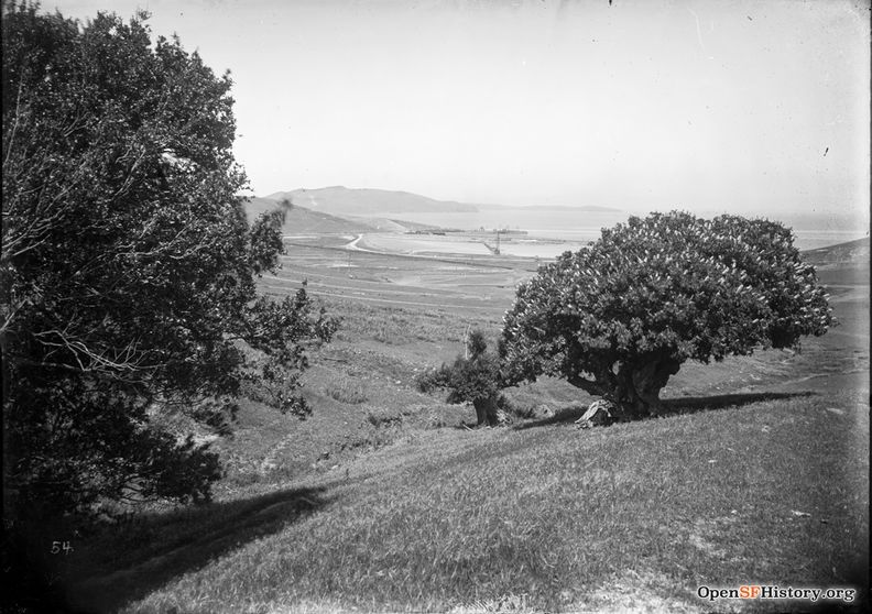 1907 Part of a Visitacion Valley set from Worden documenting Southern Pacific construction. View northerly toward the bay, from San Bruno Mountain above Brisbane. Bayview Hill in distance wnp15.760.jpg