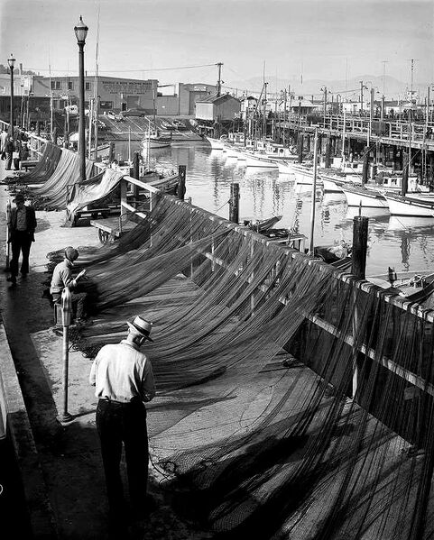 File:Fishermans-wharf-c-1950s.jpg