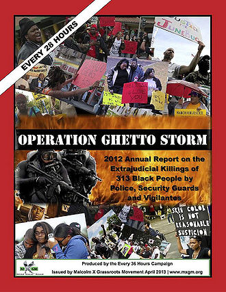 Operation Ghetto Storm report April 2013.jpg