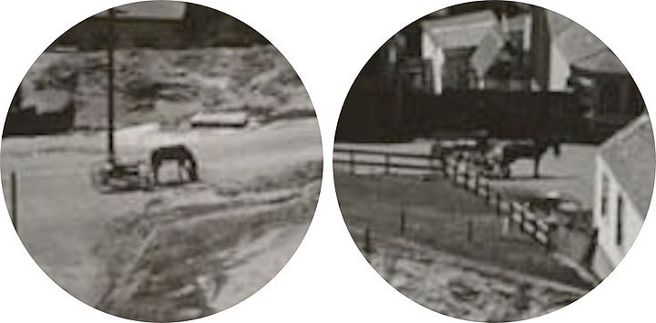 1907-bernal-horses.jpg
