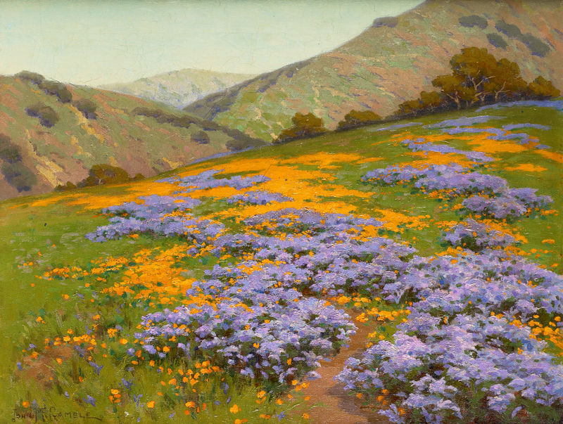 Wild Heliotrope and Poppies San Francisco by John Marshall Gamble betw-1893-1906.jpg